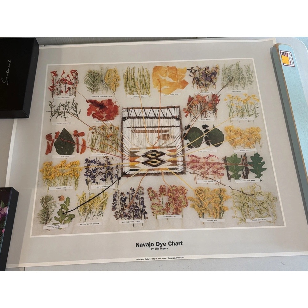 Vtg 1979 Ella Myers Navajo Dye Chart Toh-Atin Gallery Print 22.75" x 19.25"